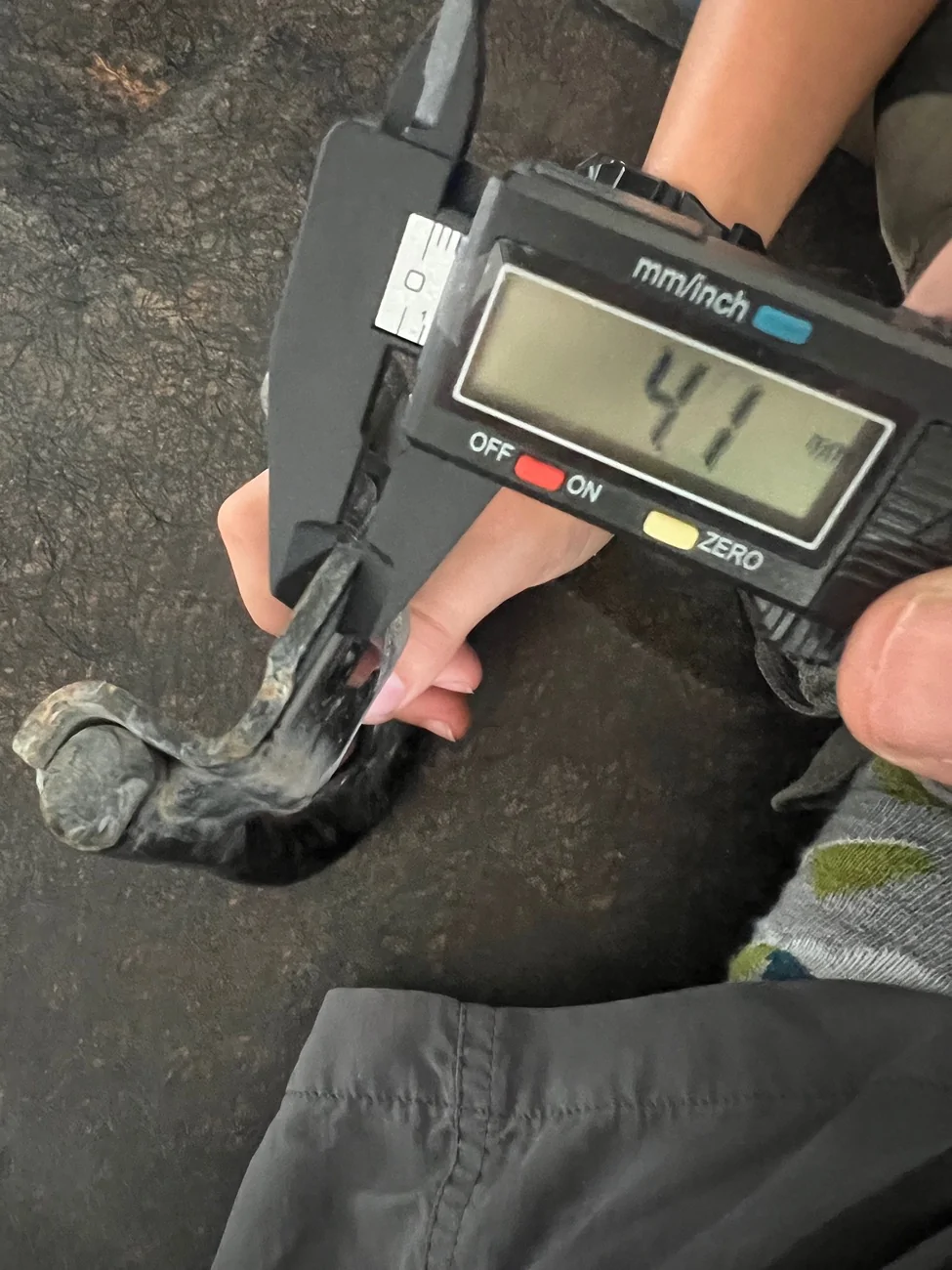 2024 Tacoma I'm hearing apparently they added front tow hooks for 2025 to all models, is this something that can be upgraded IMG_8097