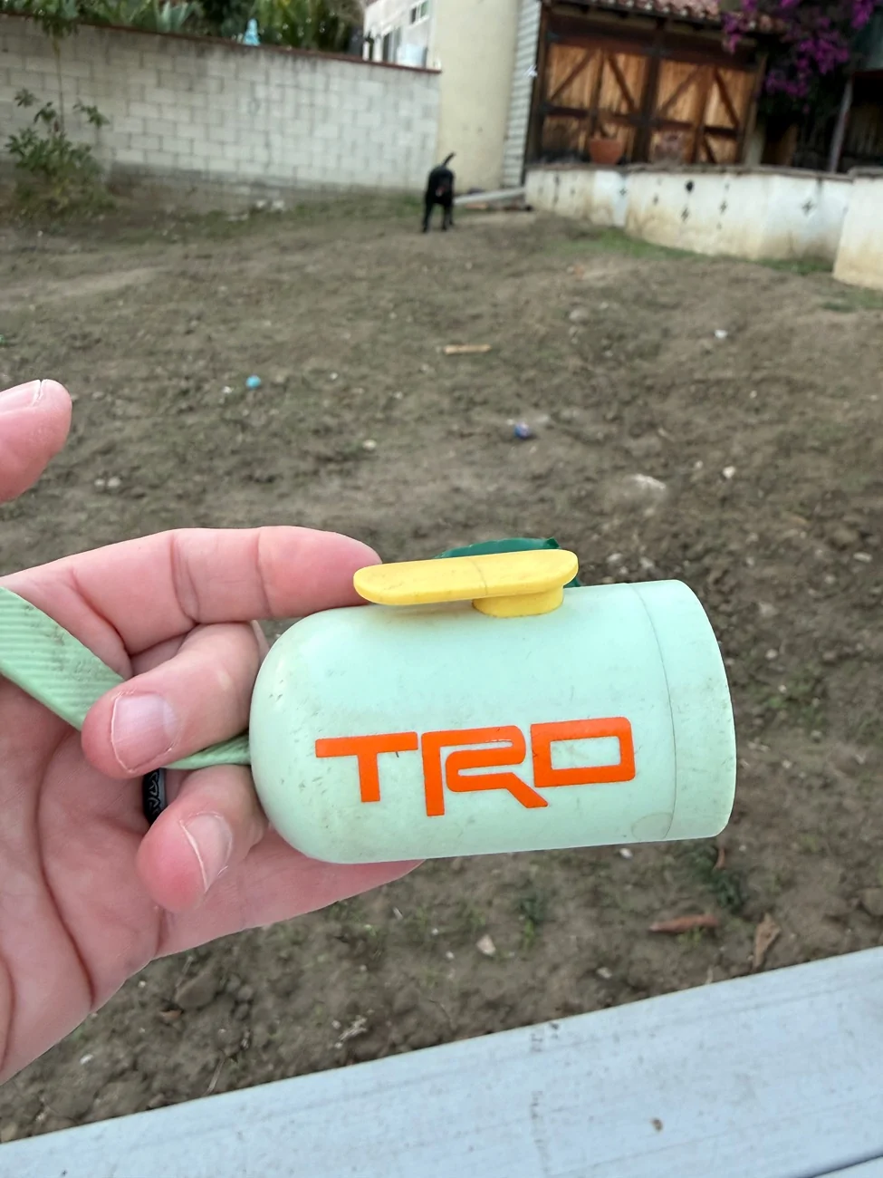 2024 Tacoma Adding Stickers to Rear Window?? IMG_7871