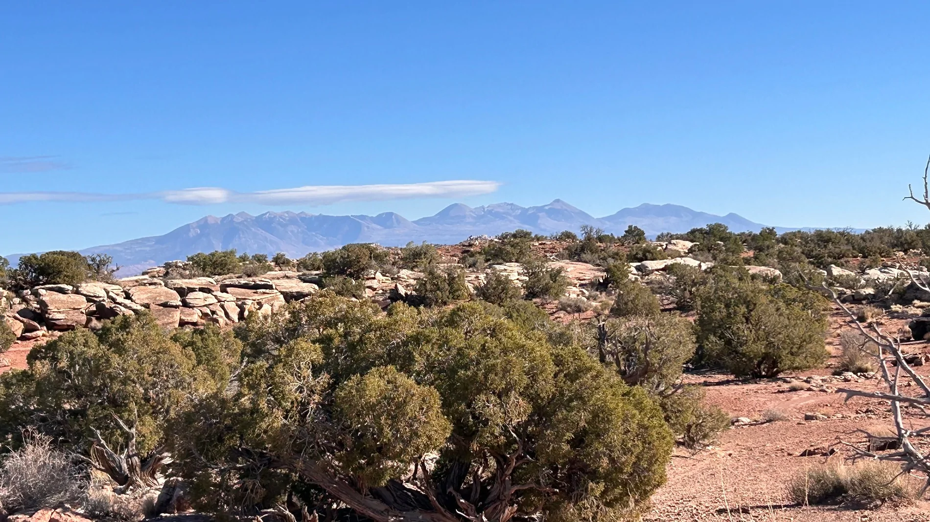 2024 Tacoma What did you do TO / WITH your 4th gen Tacoma today?! 👨‍🏭 🧰 📸 IMG_2027