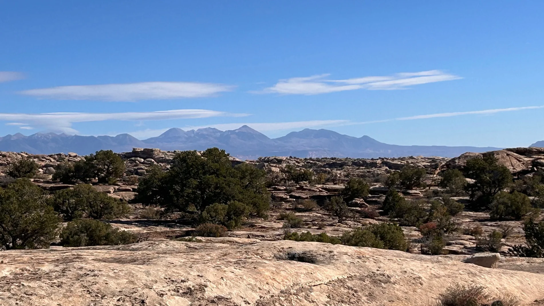 2024 Tacoma What did you do TO / WITH your 4th gen Tacoma today?! 👨‍🏭 🧰 📸 IMG_2011