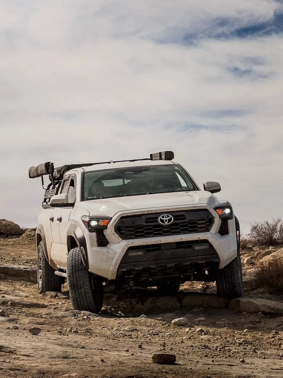 2024 Tacoma Random 2024 Tacoma 4th Gen Photos of the Day - Post Yours! 📸 🤳 IMG_6721