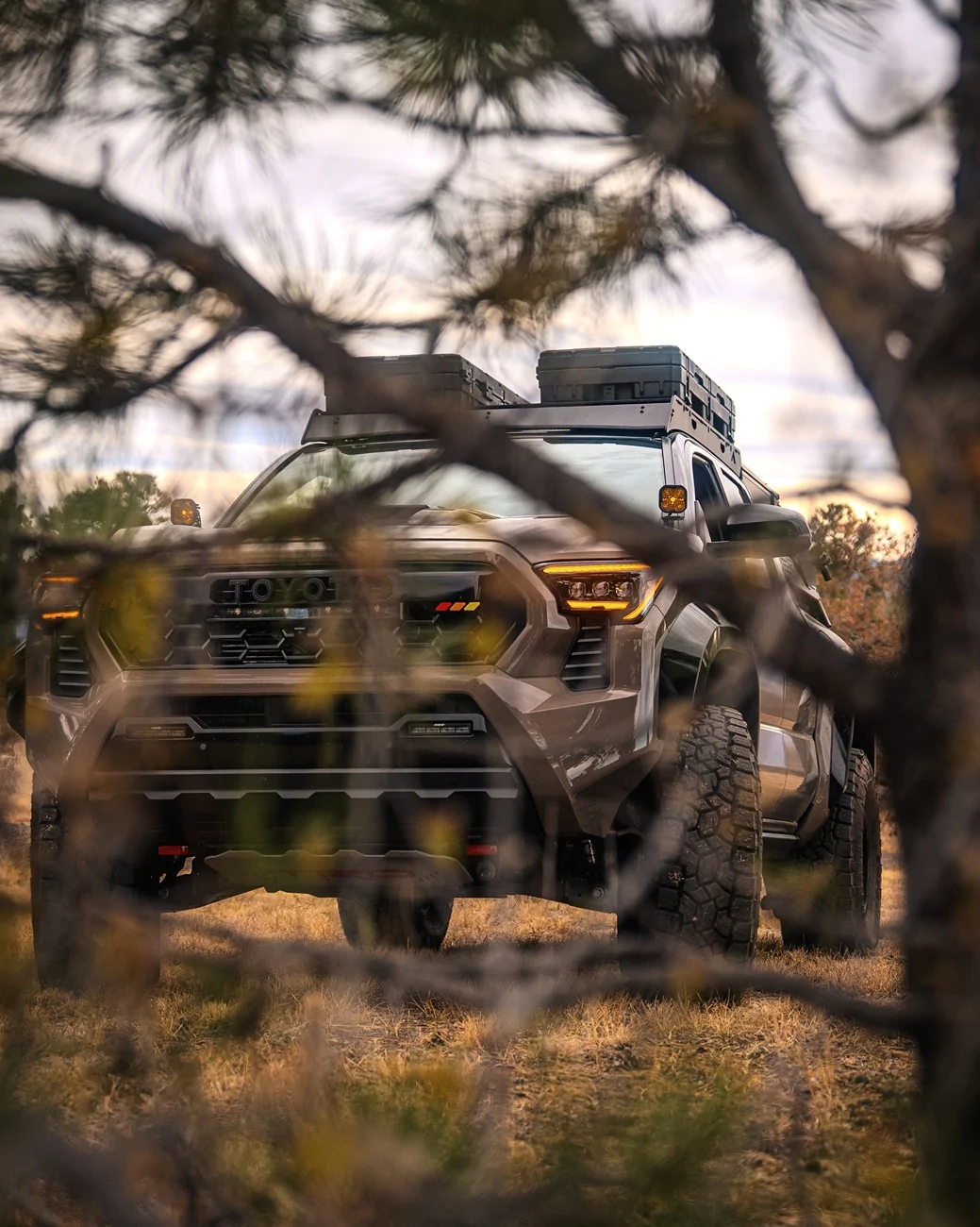 2024 Tacoma MUDMIXR in the Wild - 3 Images from Colorado Springs CO_Springs_2