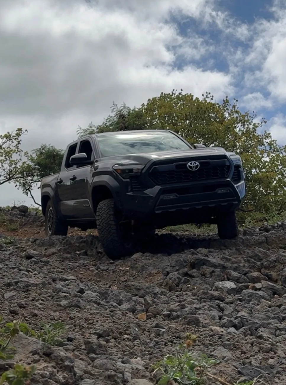 2024 Tacoma Random 2024 Tacoma 4th Gen Photos of the Day - Post Yours! 📸 🤳 IMG_5232