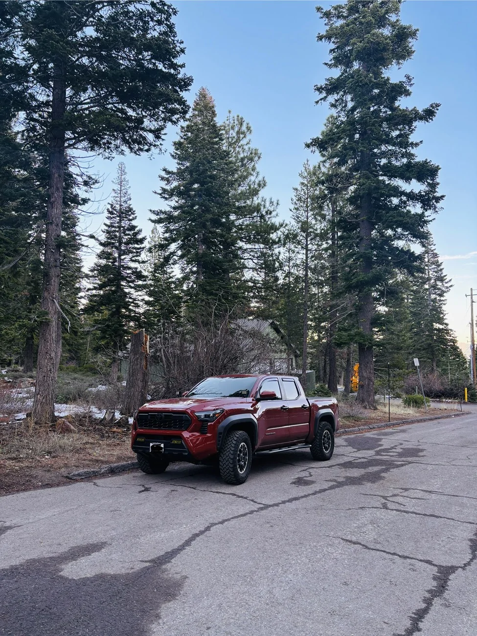 2024 Tacoma TERRA 2024 Tacoma Thread (4th Gen) IMG_8561