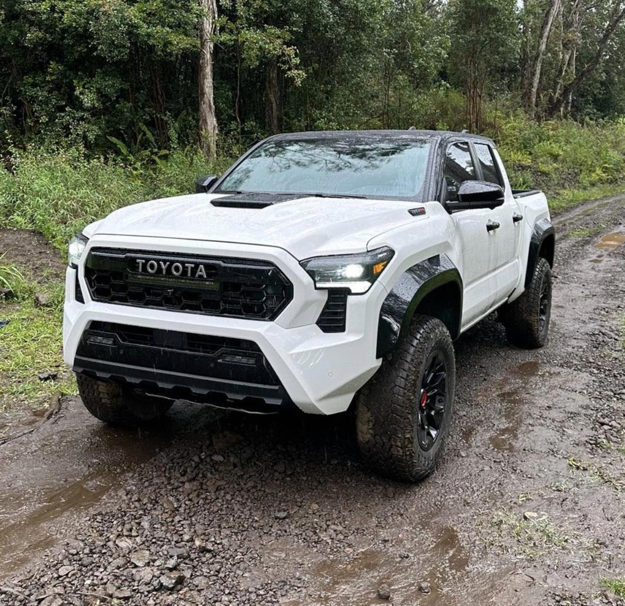 2024 Tacoma 2024 Tacoma TRD PRO - Specs, Price (TBA) Features, Photos & Videos 6828945_1430428137691913_1253620204658557876_n-