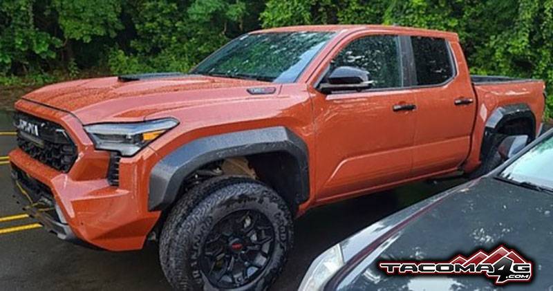 2024 Tacoma TERRA 2024 Tacoma Thread (4th Gen) 2024 Tacoma TERRA COLOR TRD Pro 5
