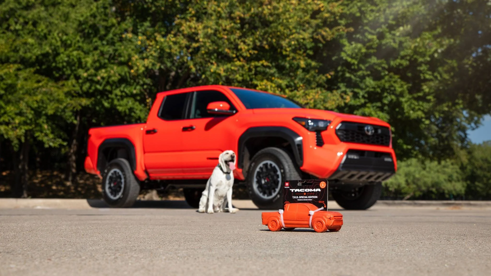 2024 Tacoma Solar Octane 2024 Tacoma Dog Chew Toy arriving for some lucky recipients t1-jpg
