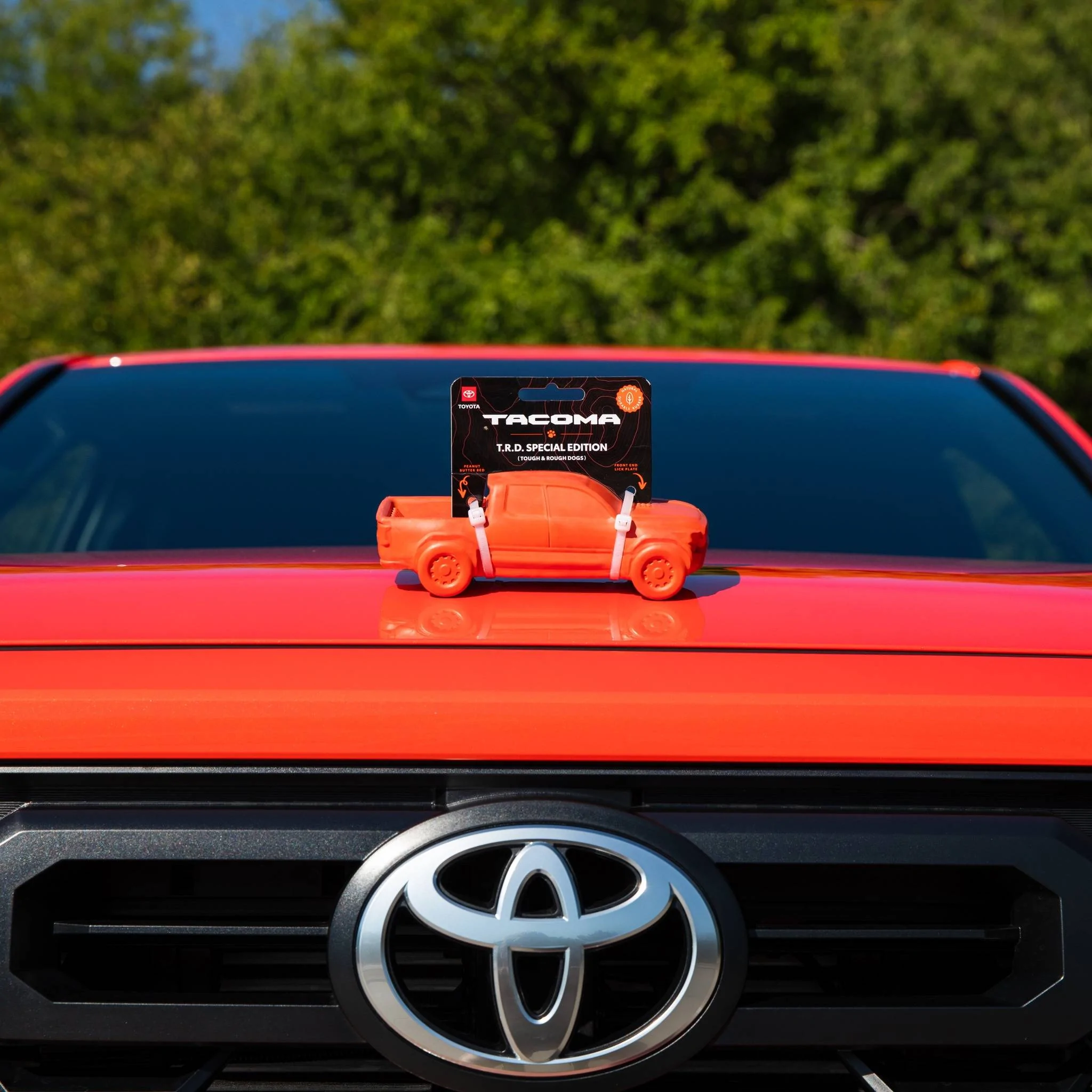2024 Tacoma Solar Octane 2024 Tacoma Dog Chew Toy arriving for some lucky recipients t3-jpg