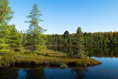 2024 Tacoma JK->TH: Well, I'm Committed Now 09-2025 - Autumn UP-2