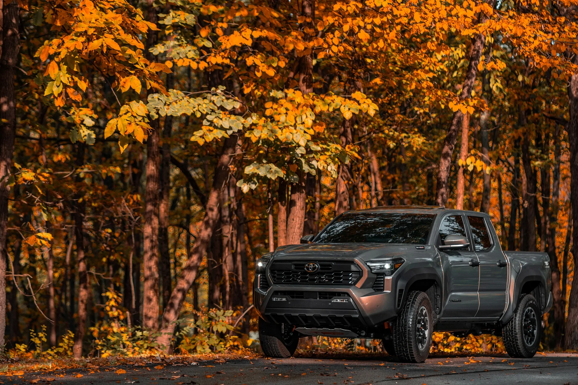 2024 Tacoma My Hybrid iForce Max Tacoma for electric lawn care business DSC09719