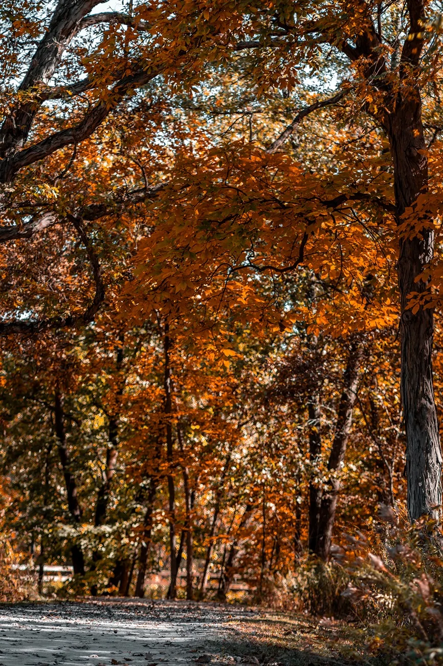 2024 Tacoma My Hybrid iForce Max Tacoma for electric lawn care business DSC09738