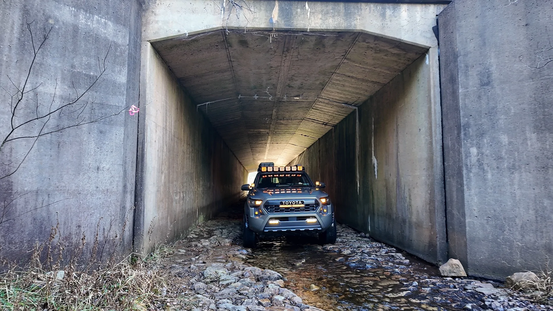 2024 Tacoma Random 2024 Tacoma 4th Gen Photos of the Day - Post Yours! 📸 🤳 1000023978