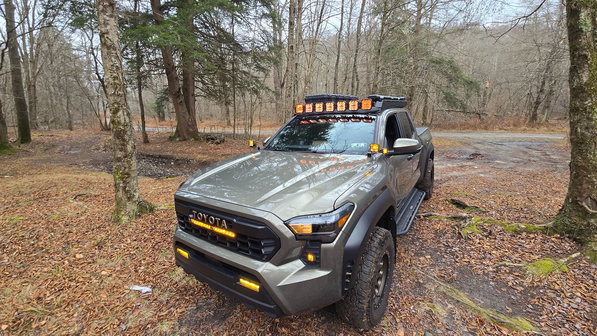 2024 Tacoma BRONZE OXIDE 2024 Tacoma Thread (4th Gen) 1000023907