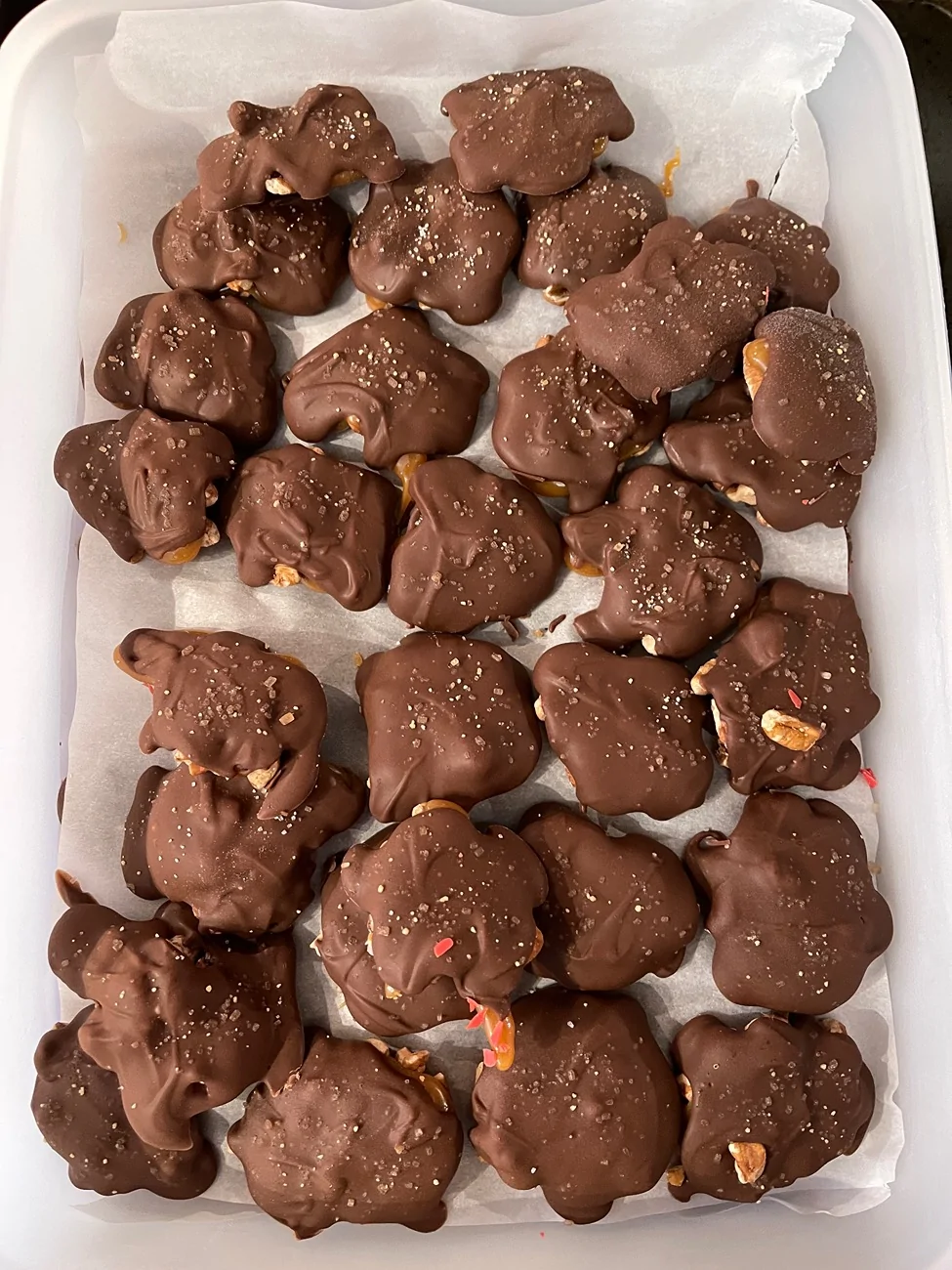 2024 Tacoma Let's see your Christmas Spirit IMG_0953