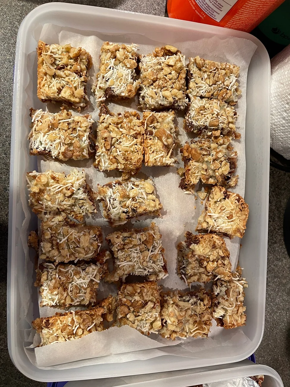 2024 Tacoma Let's see your Christmas Spirit IMG_0951