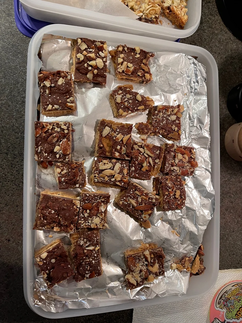 2024 Tacoma Let's see your Christmas Spirit IMG_0952