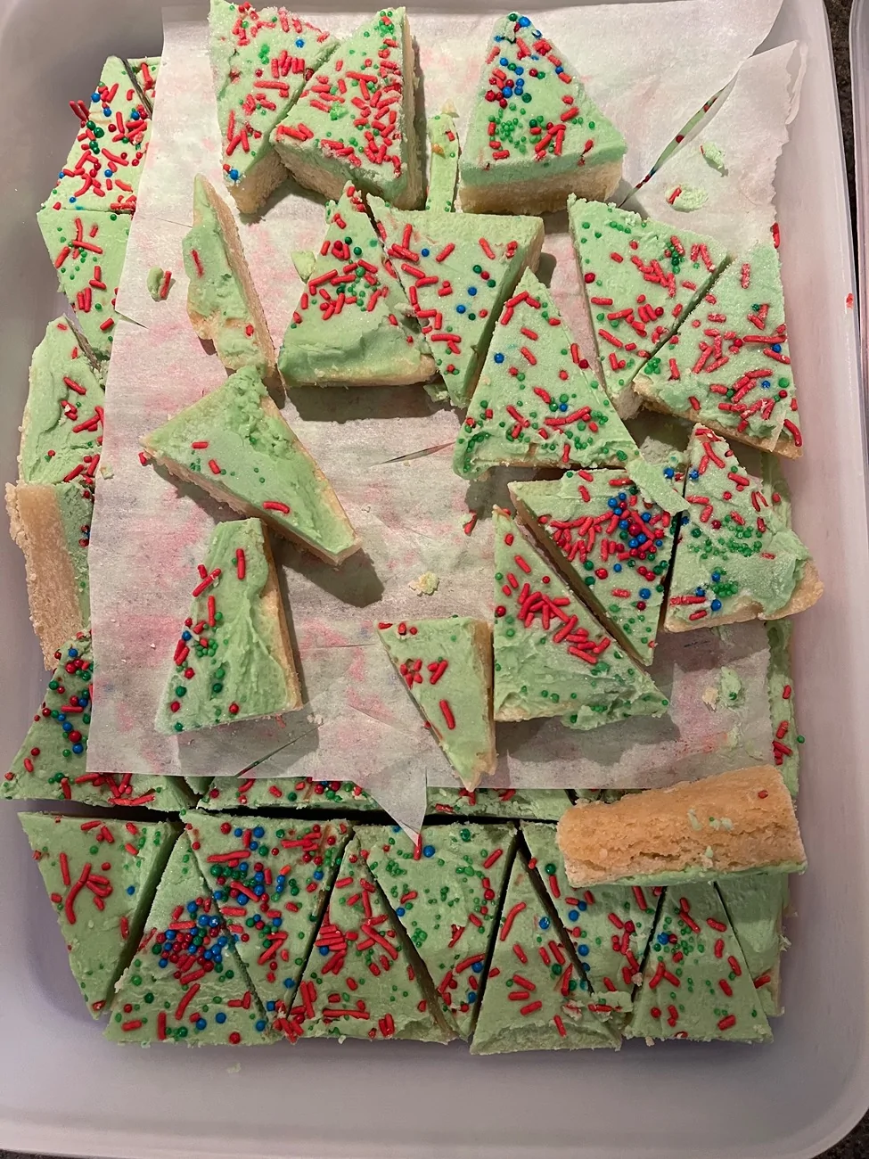 2024 Tacoma Let's see your Christmas Spirit IMG_0956