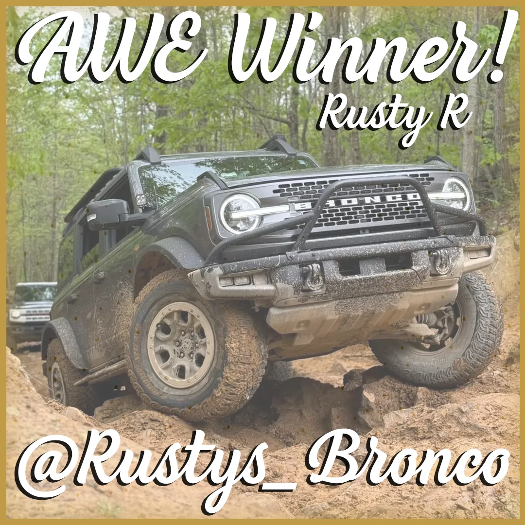 AWE Winner Graphic.webp