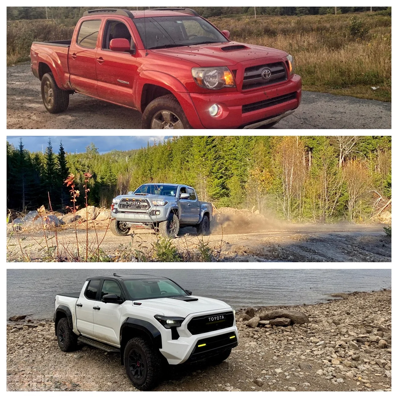 2024 Tacoma Aftermarket mud flaps for TRD Pro? IMG_8689