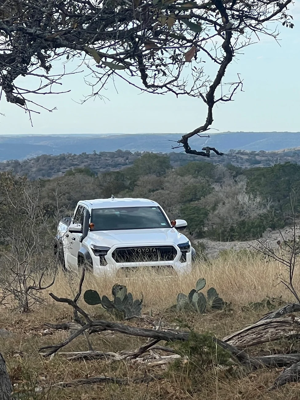 2024 Tacoma Happy New Year IMG_8498