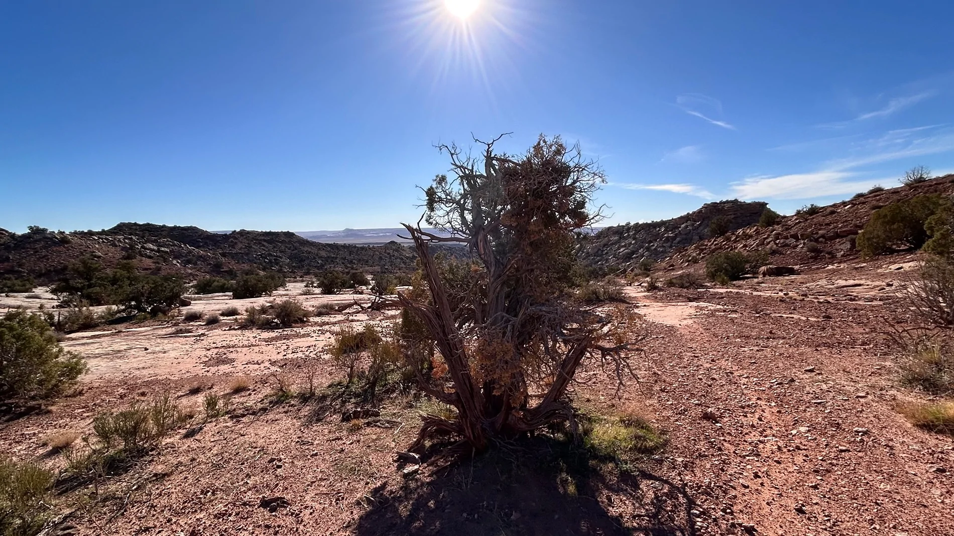 2024 Tacoma What did you do TO / WITH your 4th gen Tacoma today?! 👨‍🏭 🧰 📸 IMG_2035