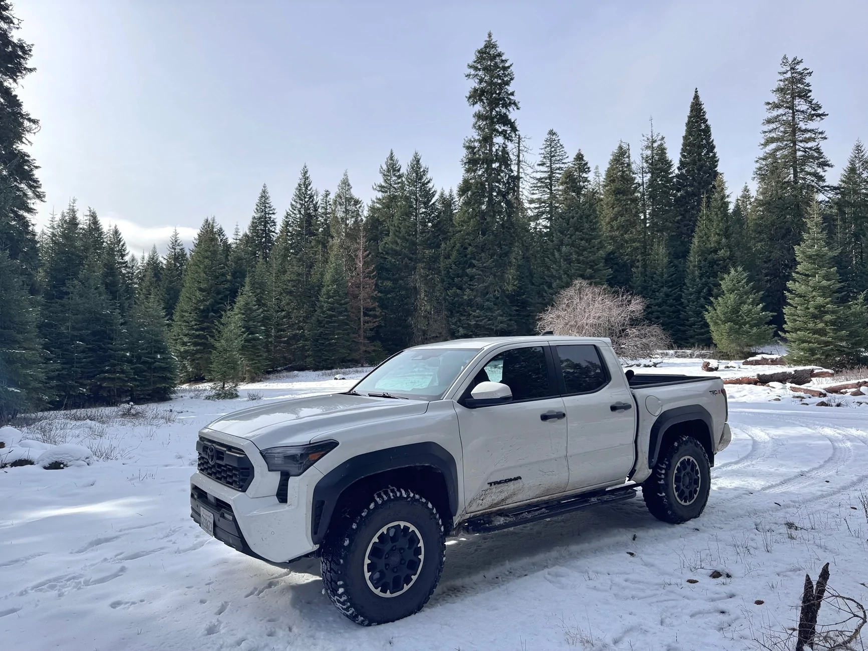 2024 Tacoma What did you do TO / WITH your 4th gen Tacoma today?! 👨‍🏭 🧰 📸 IMG_1870