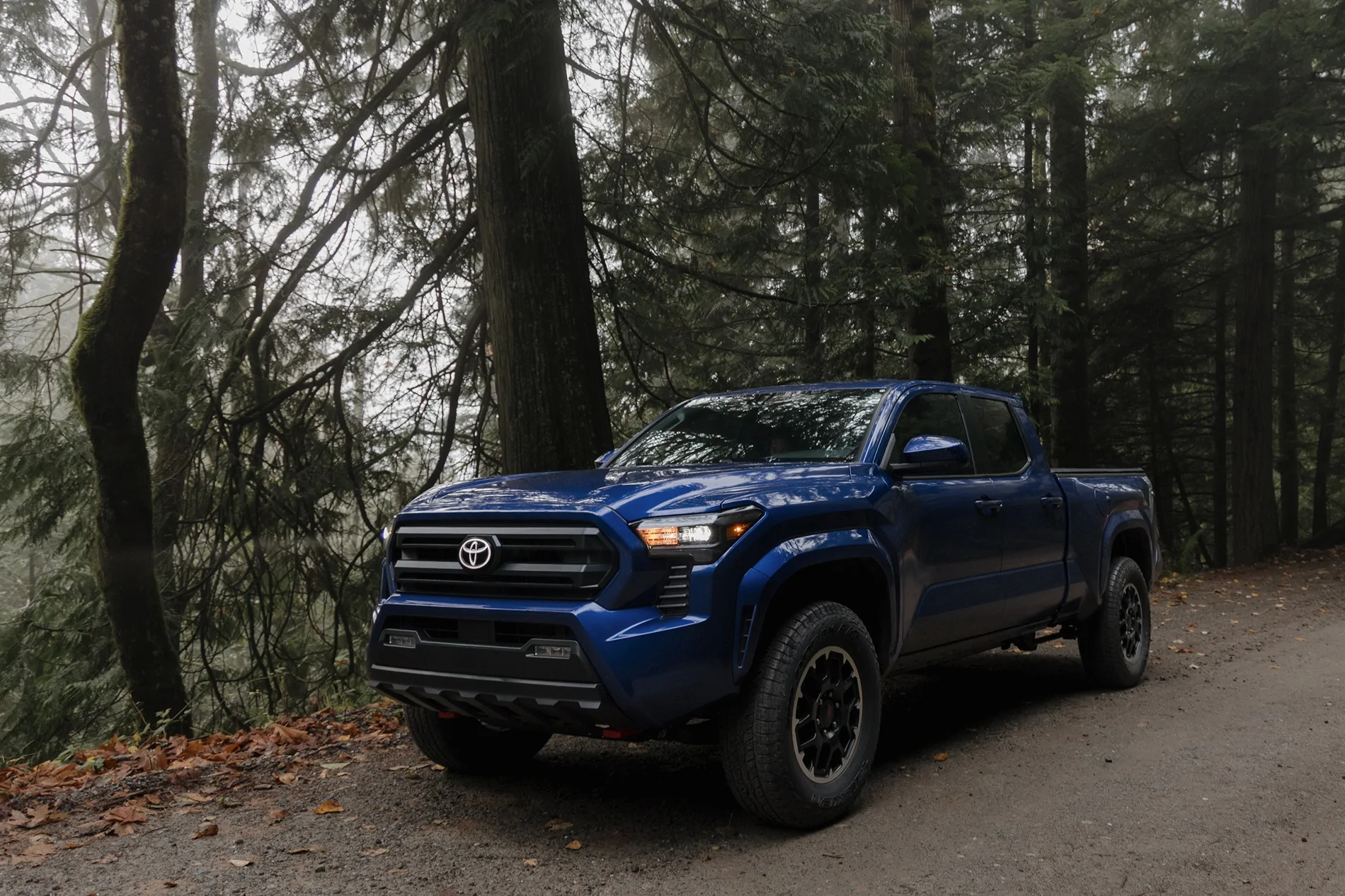 2024 Tacoma BLUE CRUSH 2024 Tacoma Thread (4th Gen) TRUCCKKKKKKK