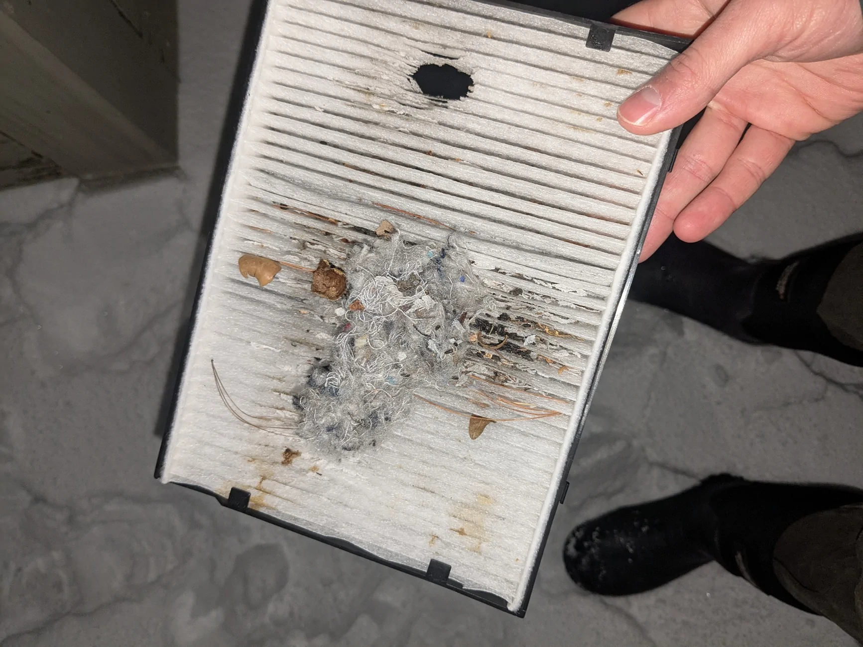 2024 Tacoma Toyota Dealership offering Rodent Screen 1000022326