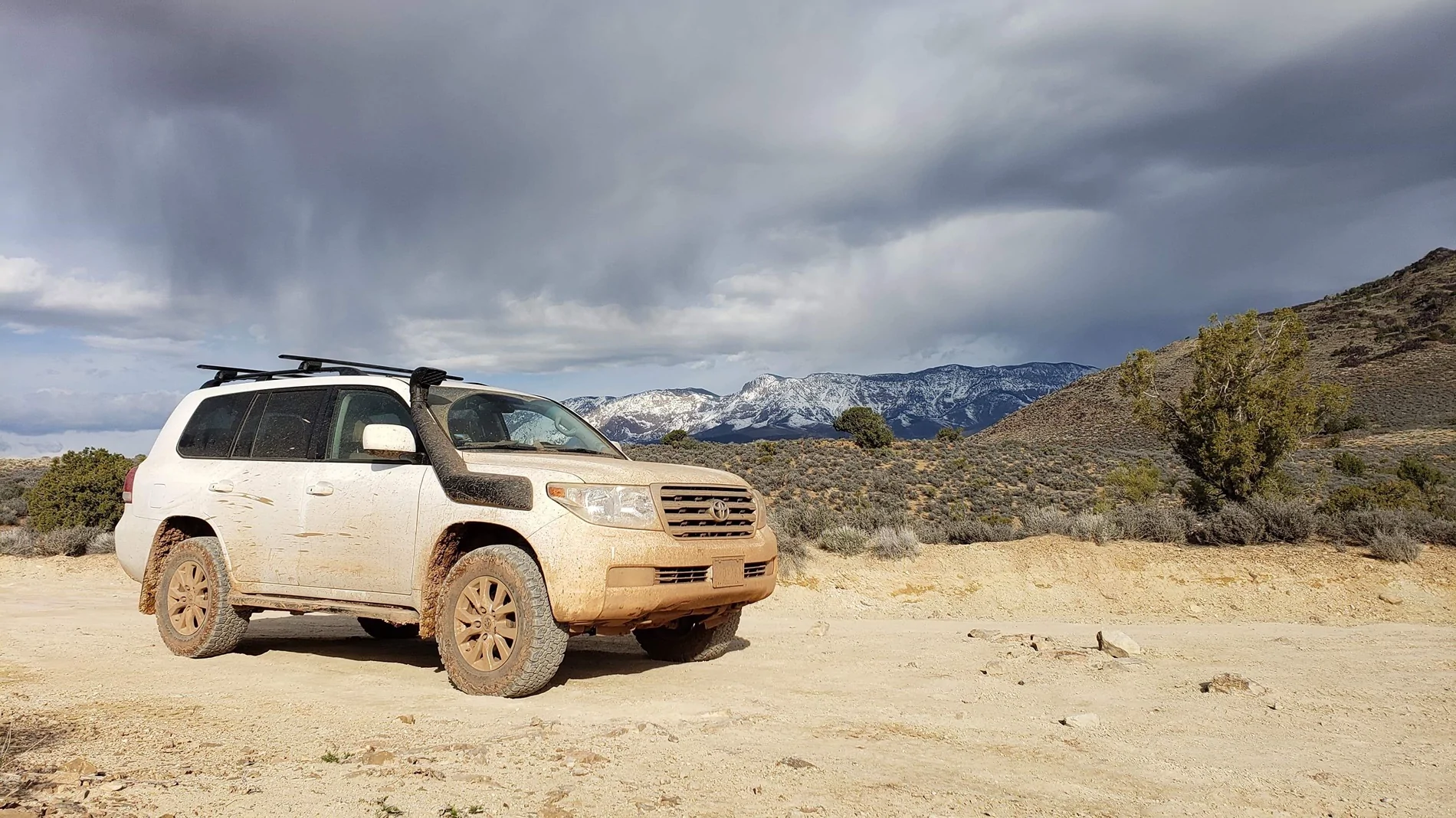 2024 Tacoma What did you drive before your Tacoma? IMG_0615