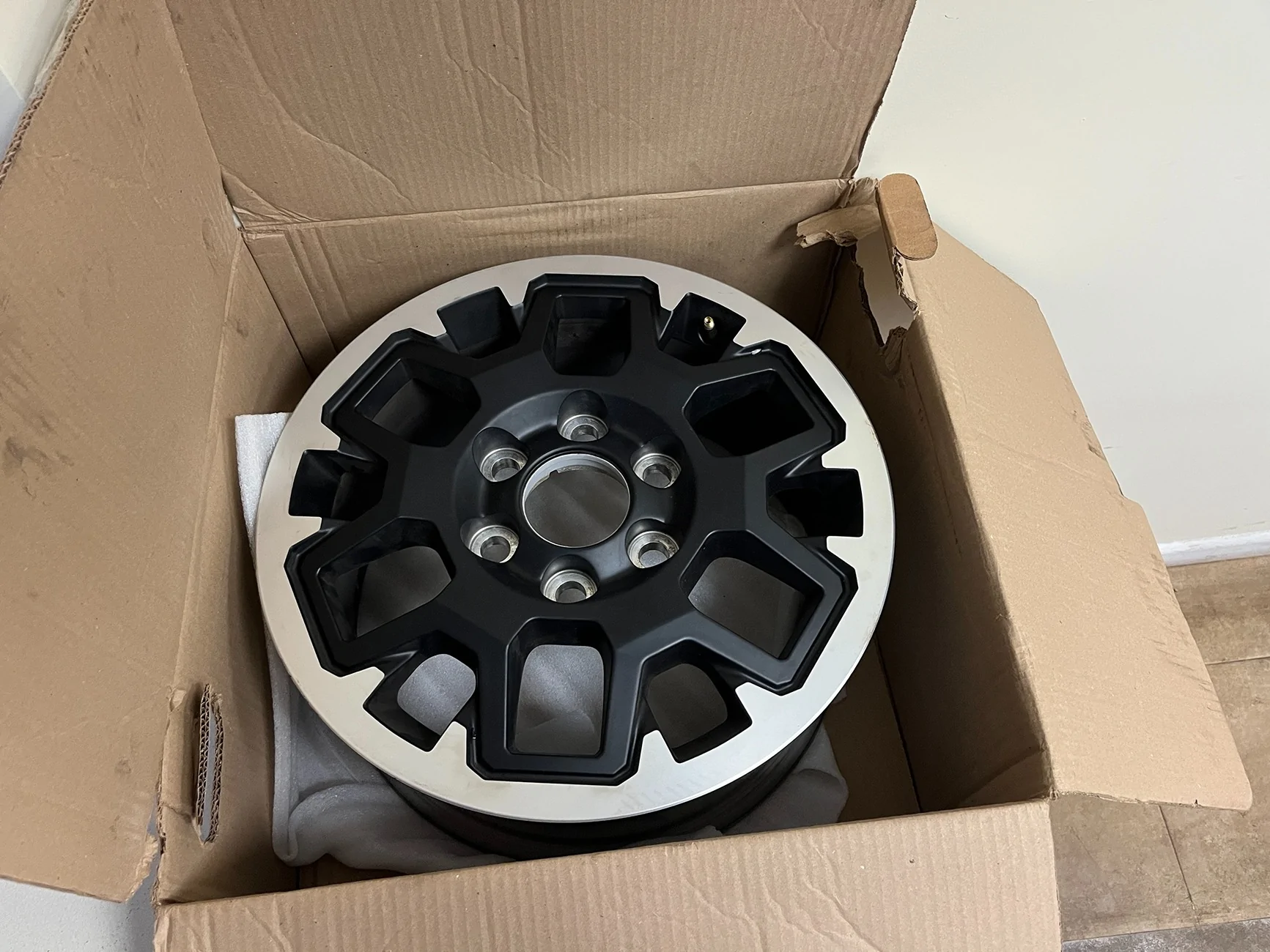 IMG_2211.webp