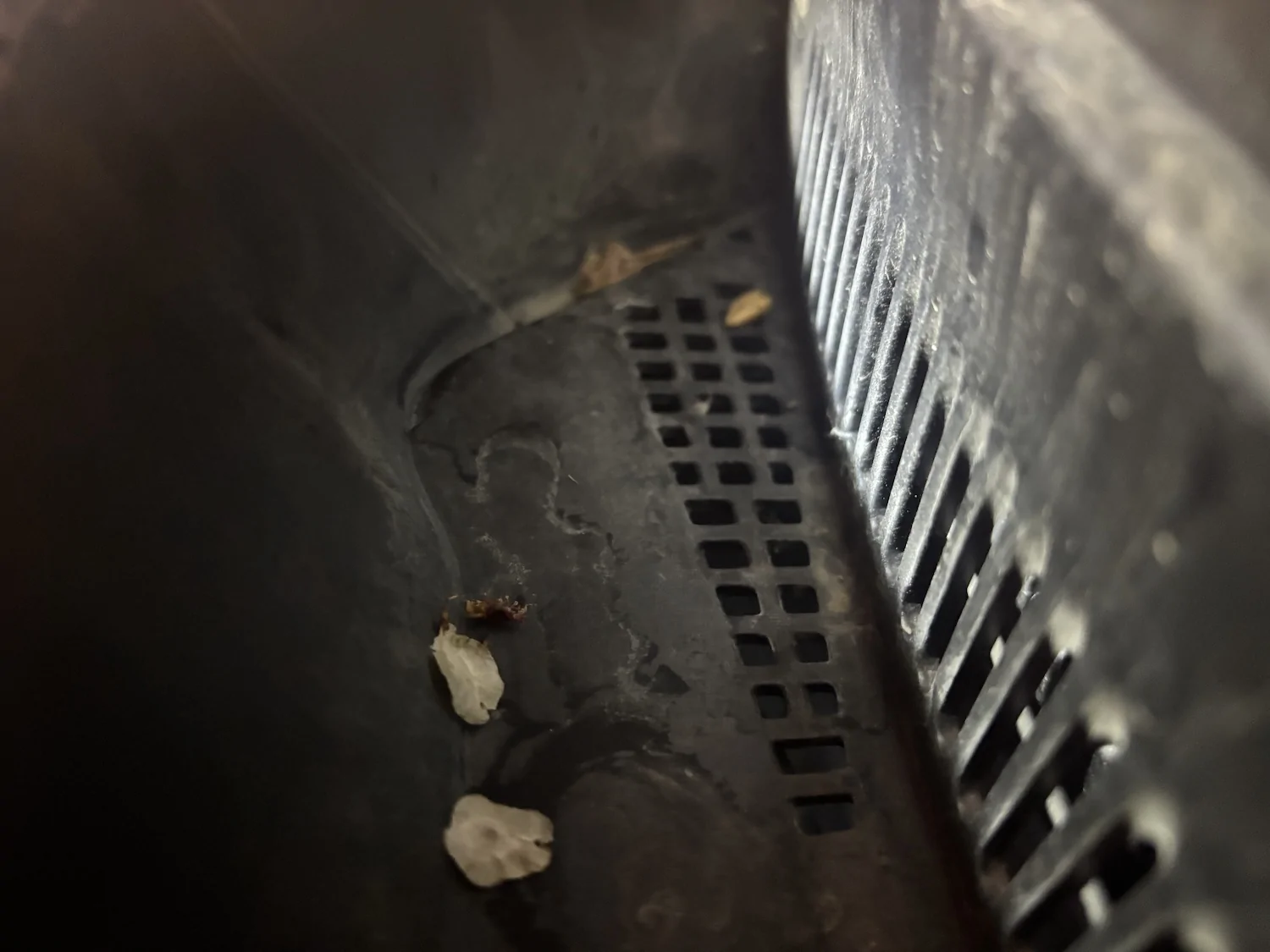 2024 Tacoma 2025 cabin air filter "rodent screen" IMG_9382