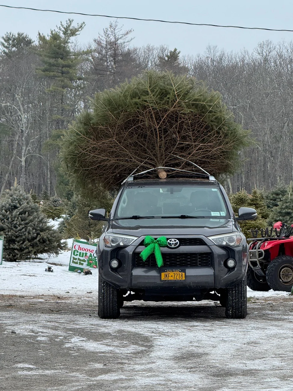 2024 Tacoma Holiday Christmas Tree IMG_1883