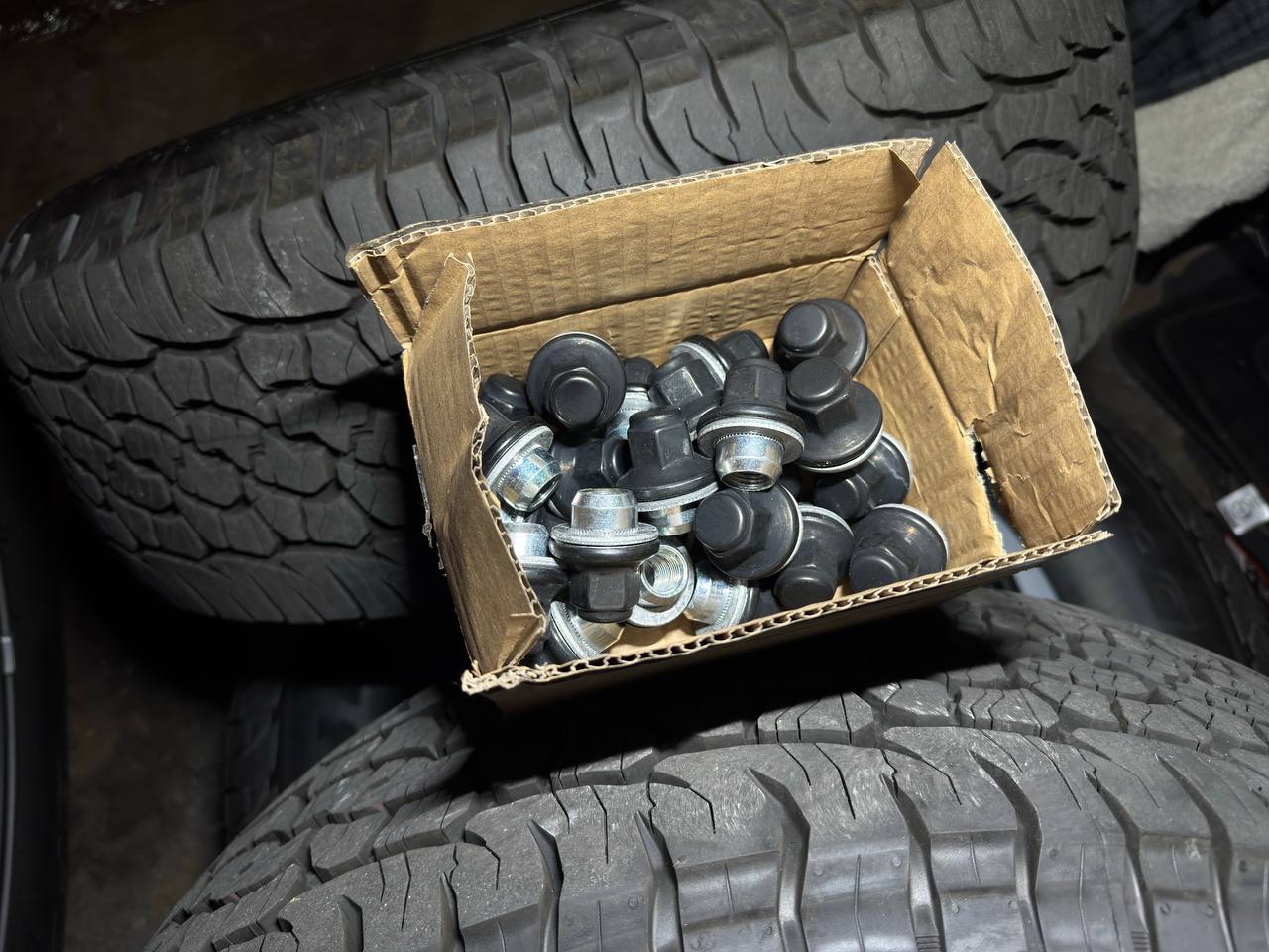 photo_2026-01-14_22-26-42 (2).jpg