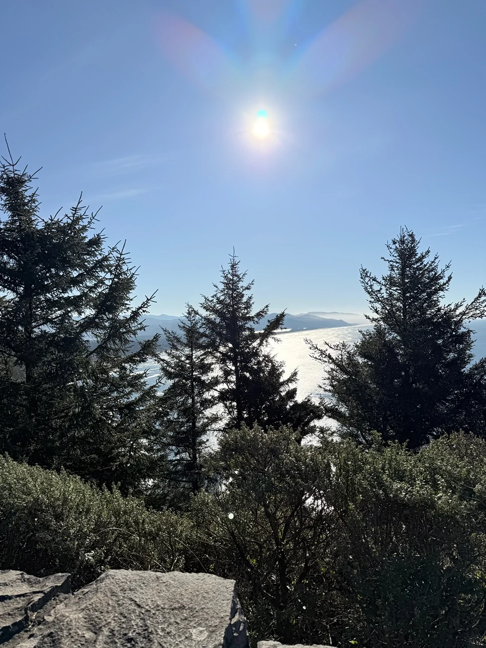 2024 Tacoma What did you do TO / WITH your 4th gen Tacoma today?! 👨‍🏭 🧰 📸 IMG_0811