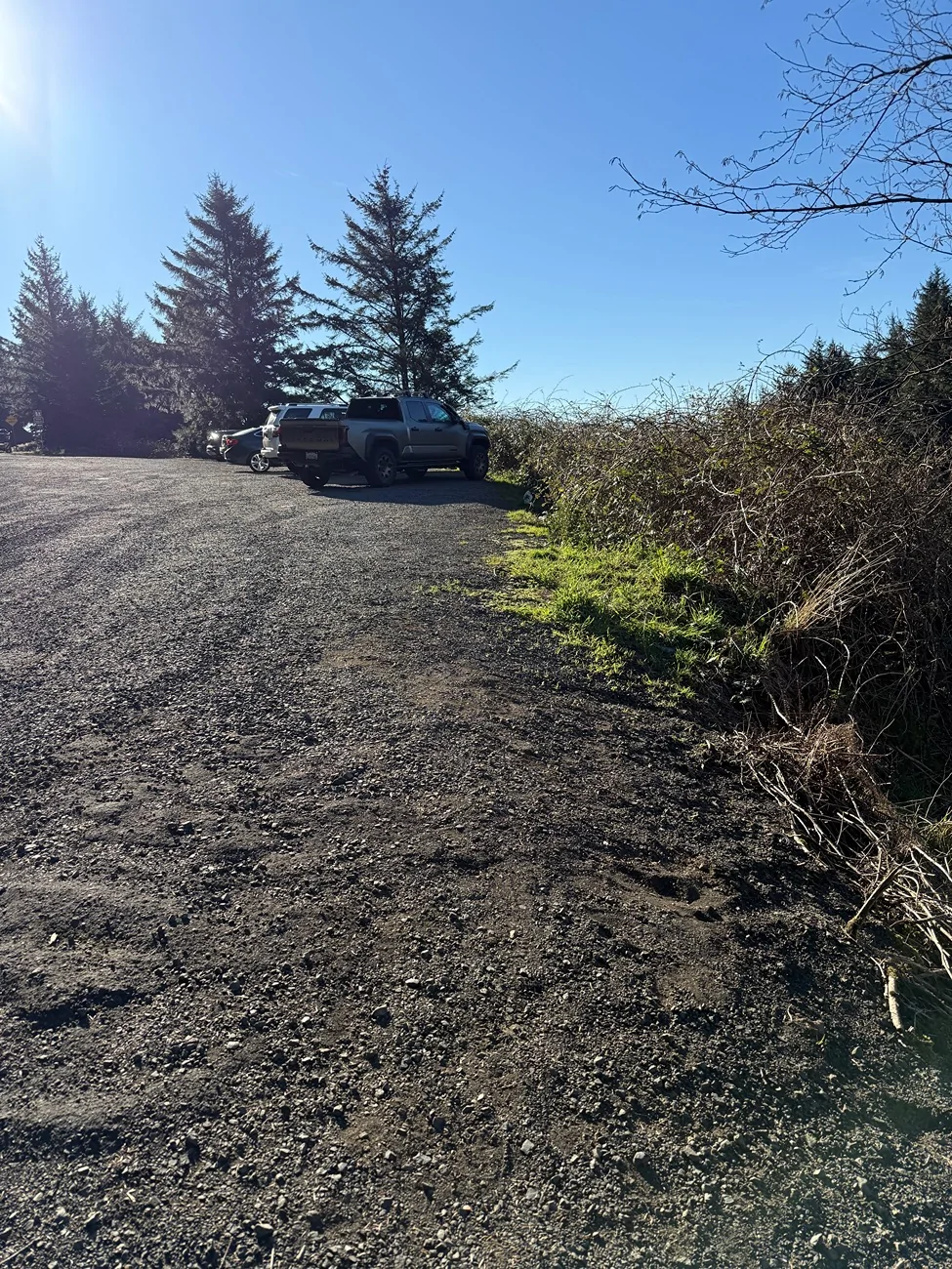 2024 Tacoma What did you do TO / WITH your 4th gen Tacoma today?! 👨‍🏭 🧰 📸 IMG_0802