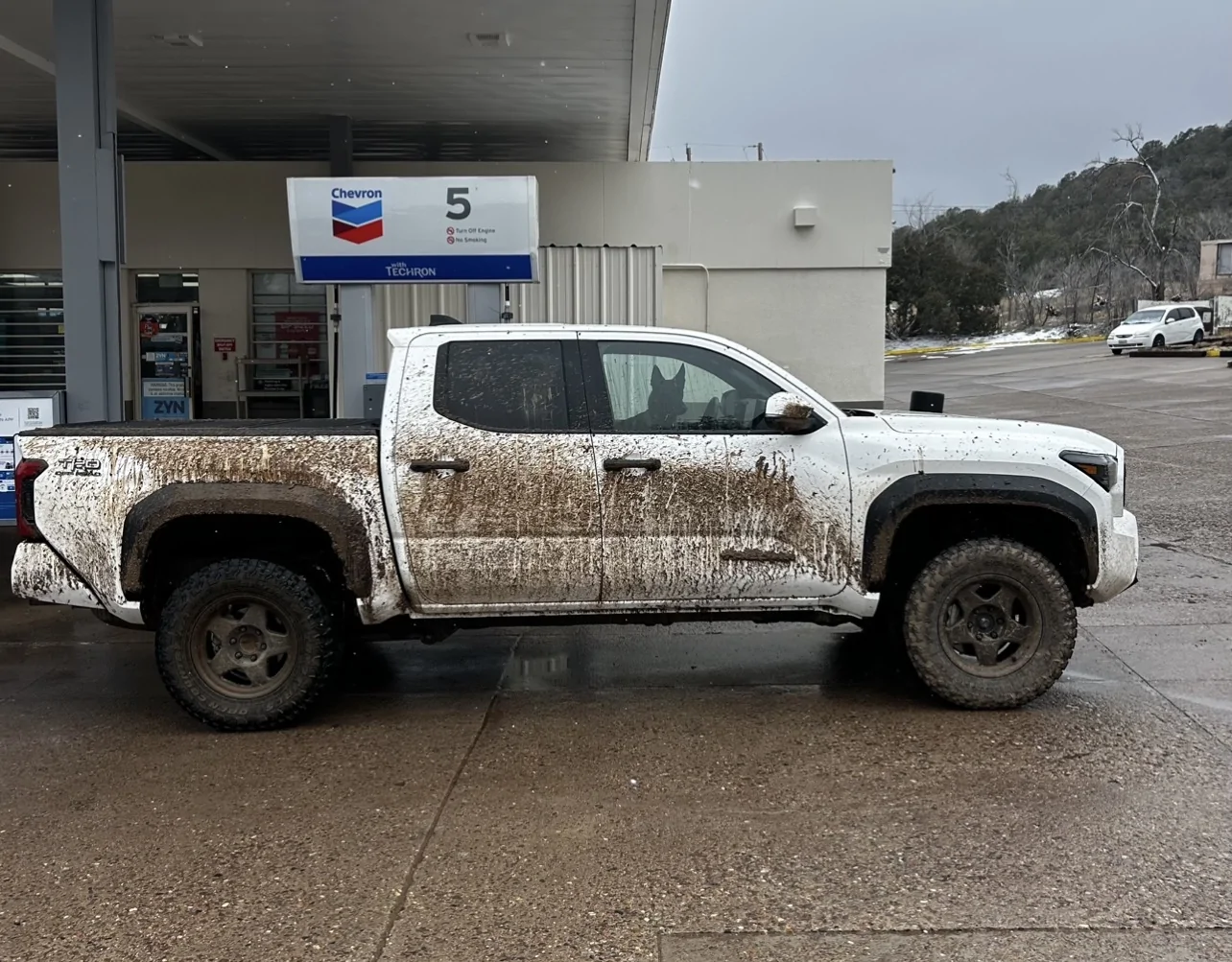 2024 Tacoma What did you do TO / WITH your 4th gen Tacoma today?! 👨‍🏭 🧰 📸 IMG_7464