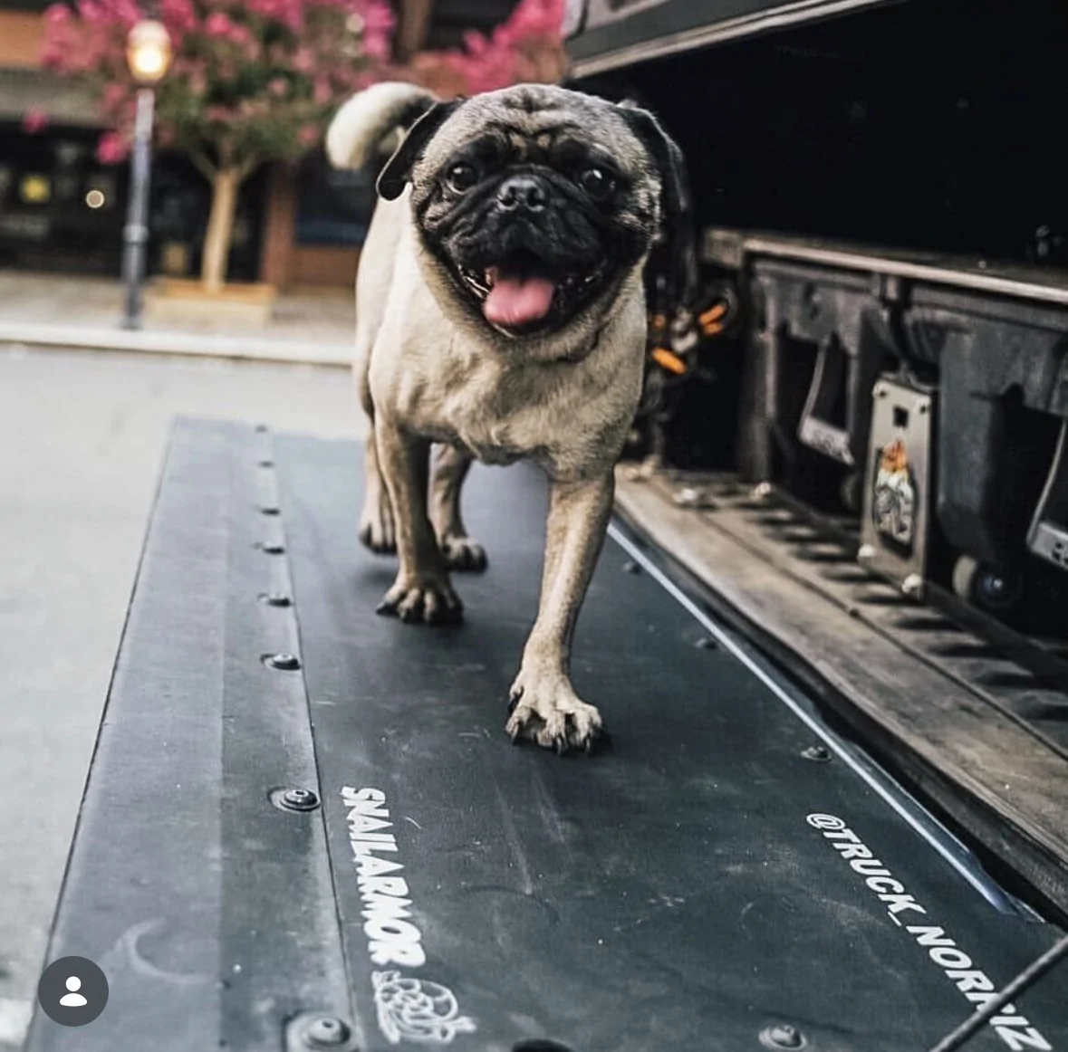 2024 Tacoma SnailArmor Tailgate Flat Panel for 4G Tacoma - installed look IMG_9787