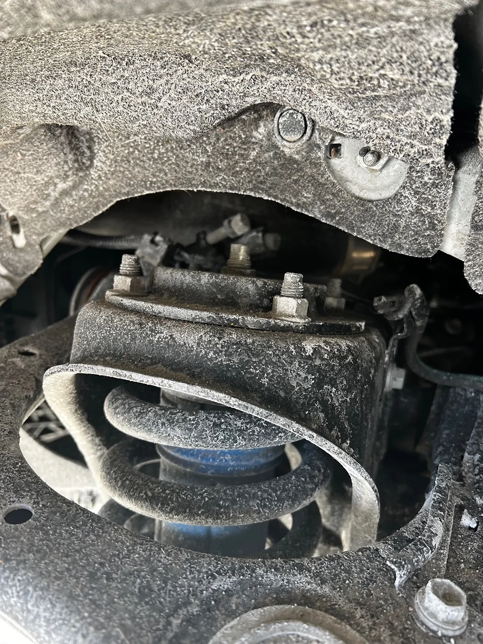 2024 Tacoma Peak Lower Spring Adapter IMG_2291