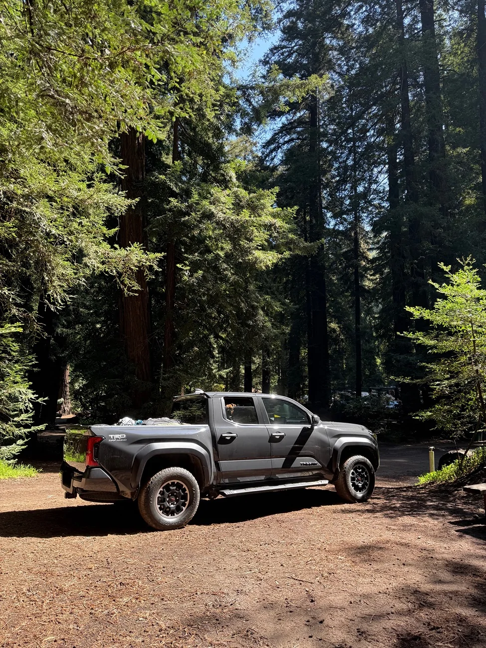 2024 Tacoma After Market running boards.. Trumgeta 5" vs Rough Country HD2 IMG_0787