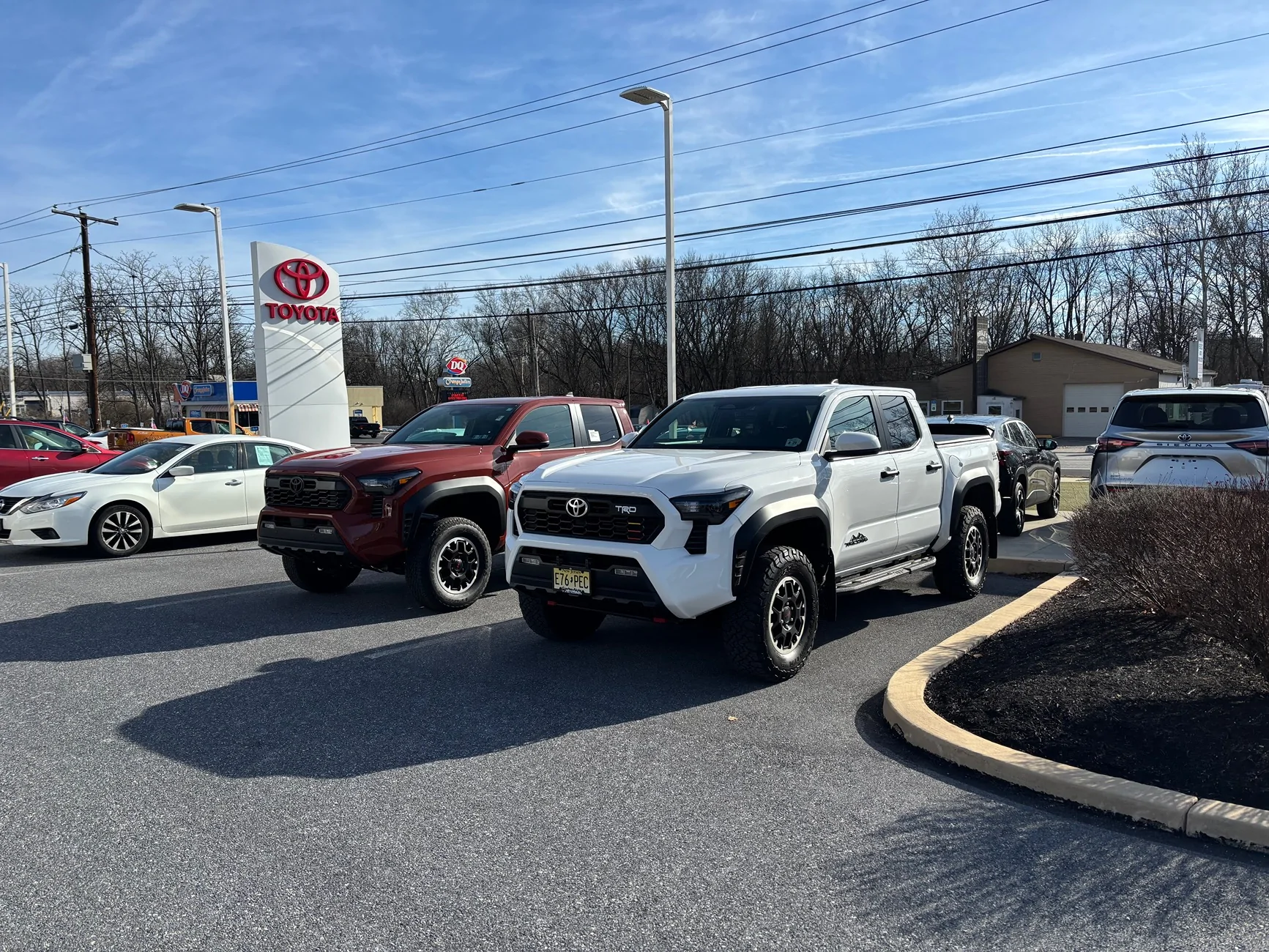 2024 Tacoma Alldogs rear coil springs IMG_2986