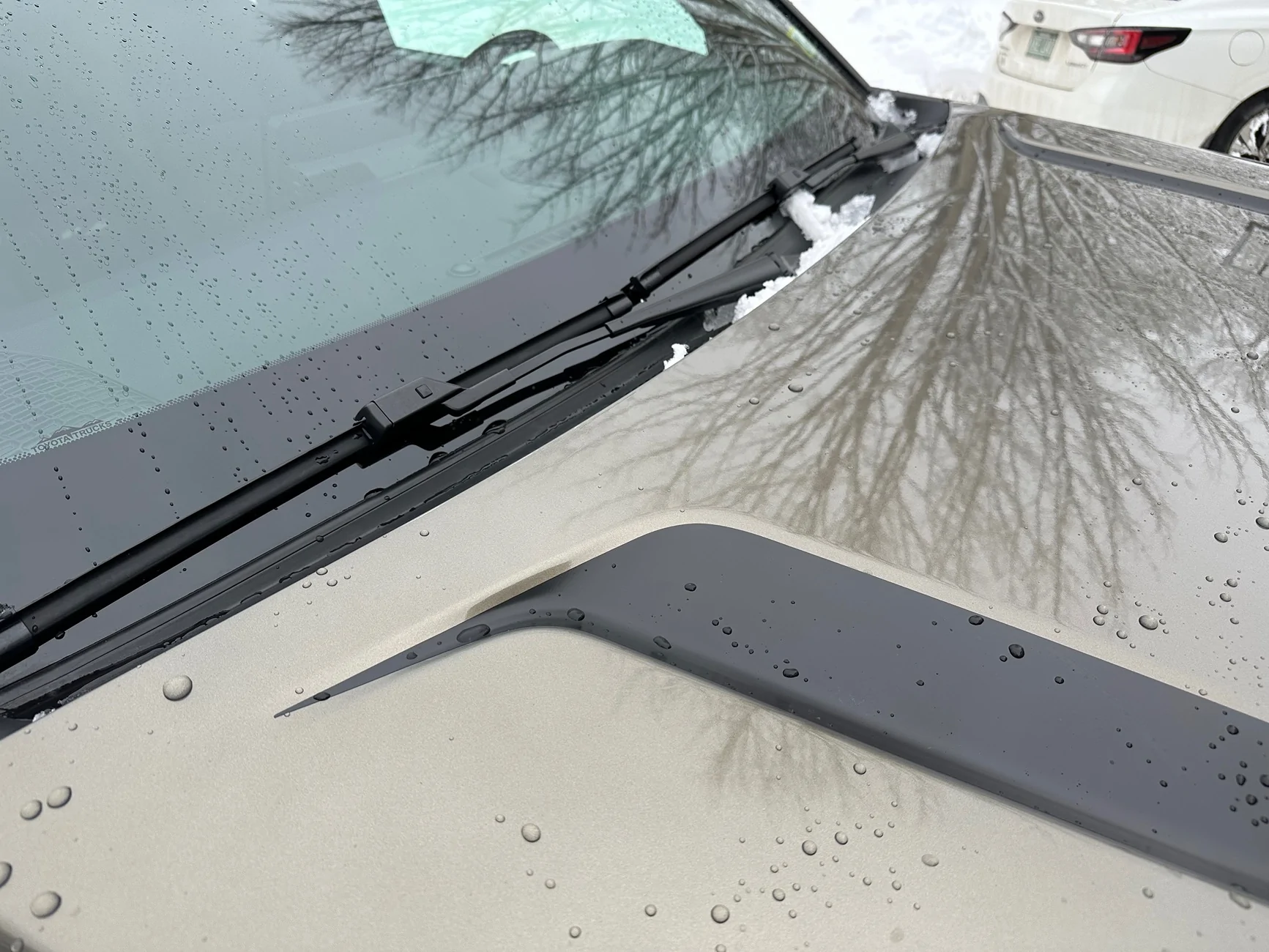 2024 Tacoma Purely for Aesthetics… hood add-ons and ‘TRD’ color change IMG_0157