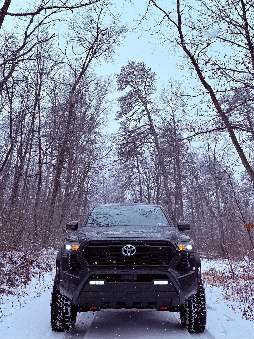 2024 Tacoma Tacomas in the snow! IMG_2453