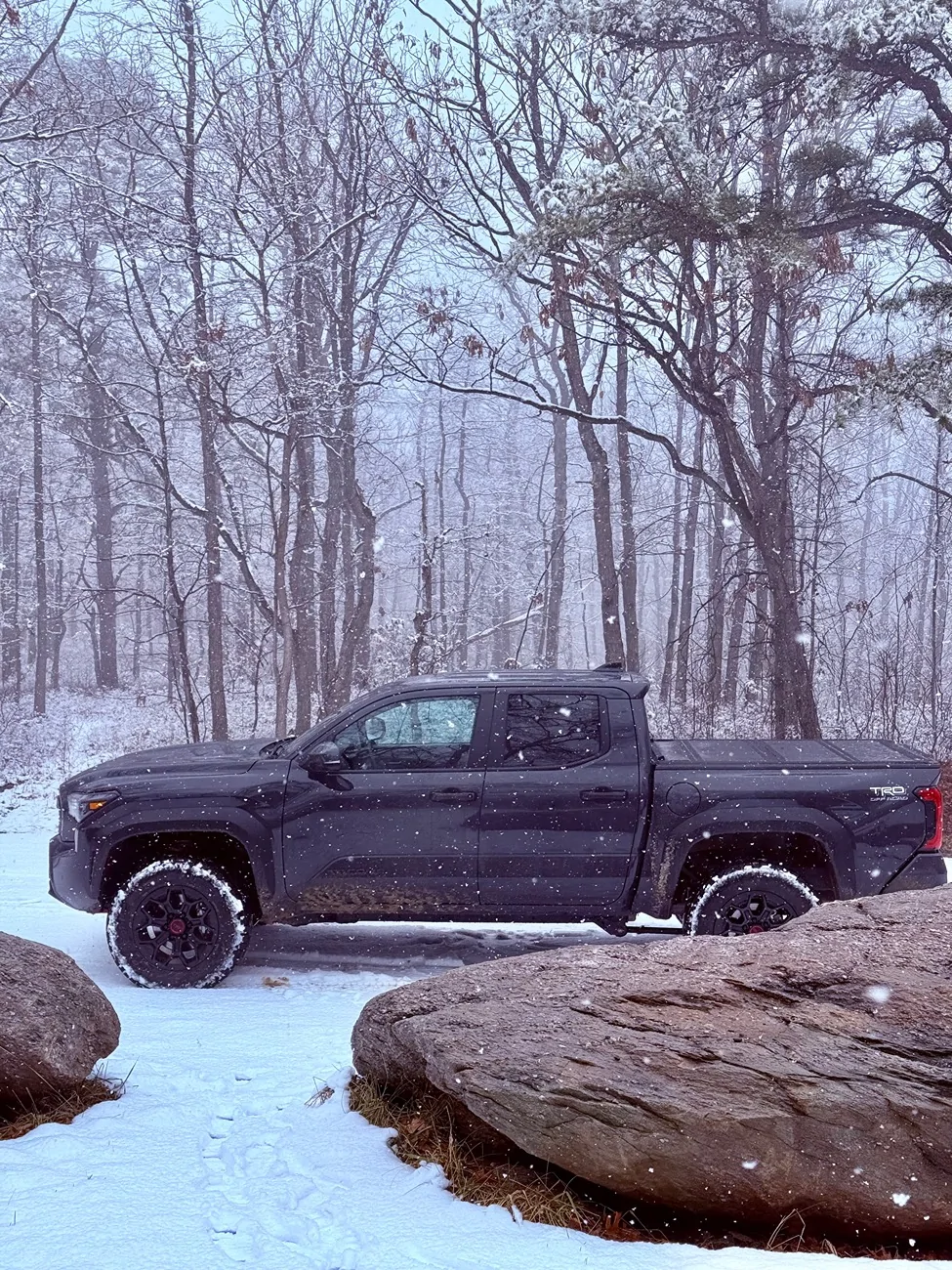 2024 Tacoma Tacomas in the snow! IMG_2452