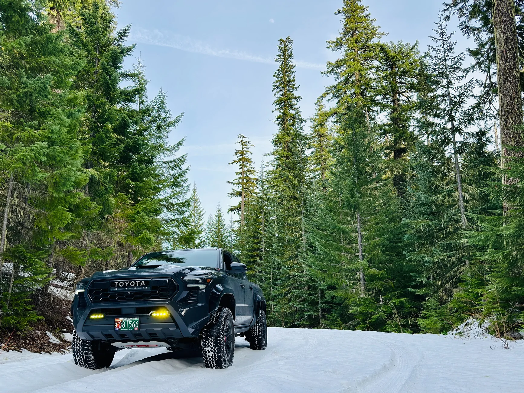 2024 Tacoma UNDERGROUND 2024 Tacoma Thread (4th Gen) IMG_E5921