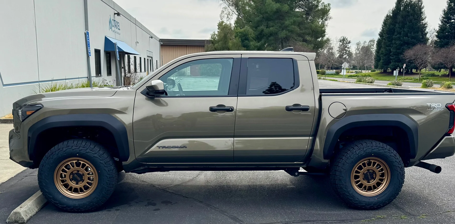 2024 Tacoma Bgucar Seat Covers installed IMG_2962