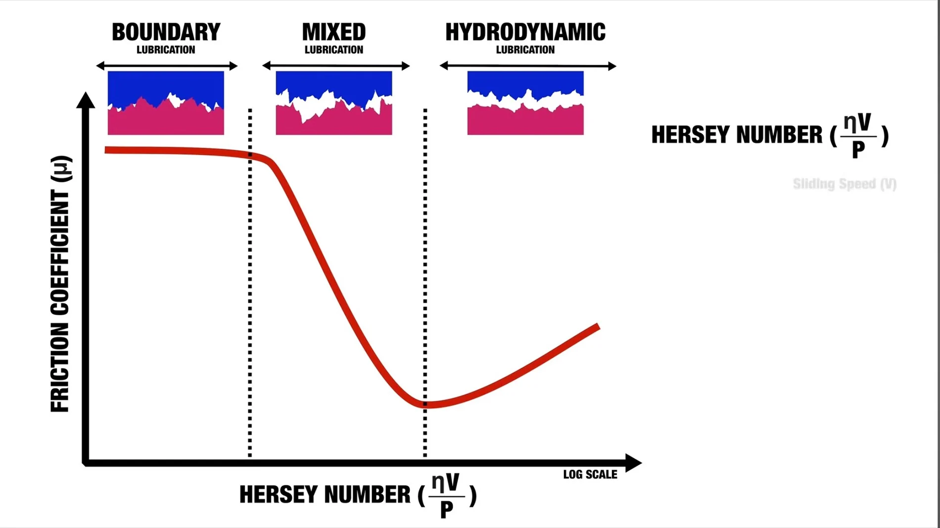 2024 Tacoma 5w-30 IMG_6408