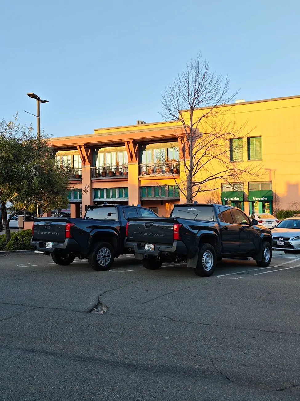 2024 Tacoma Random 2024 Tacoma 4th Gen Photos of the Day - Post Yours! 📸 🤳 IMG_20260305_173950