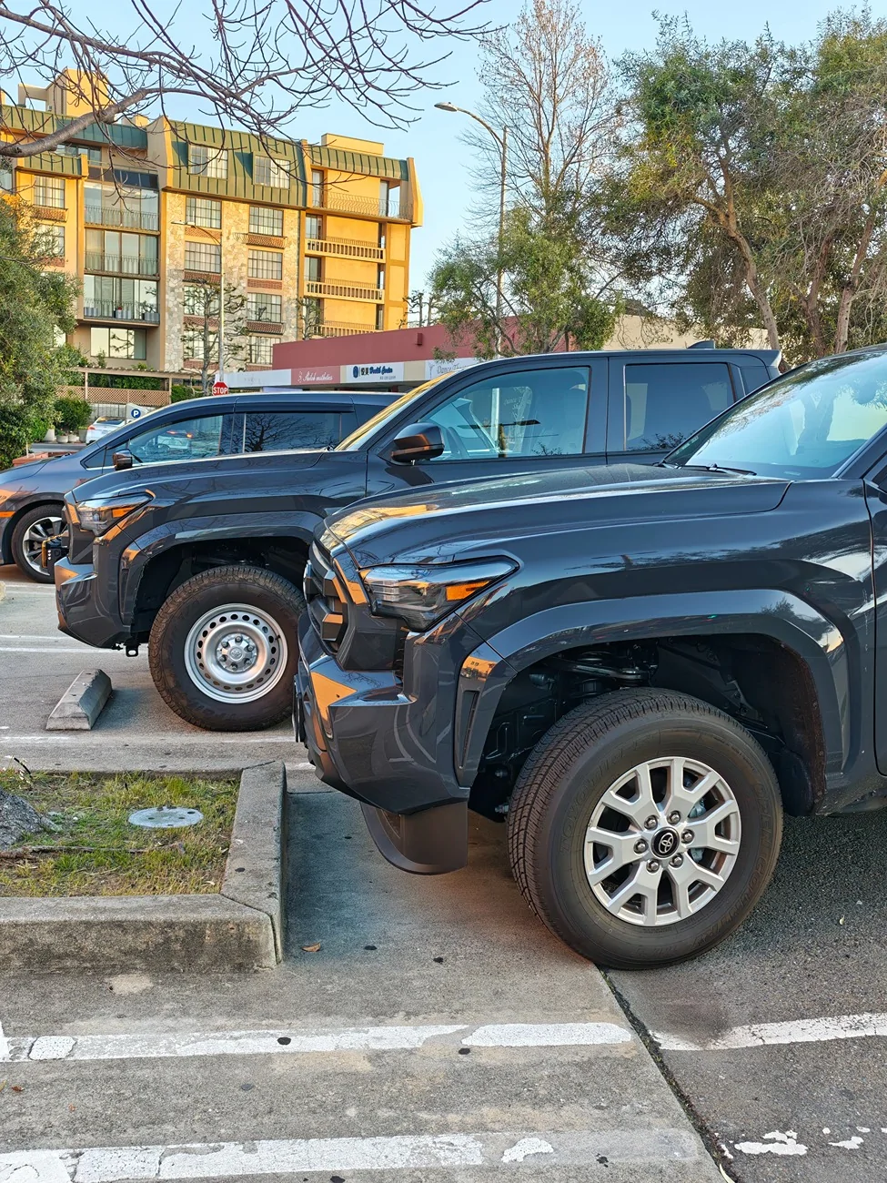 2024 Tacoma Random 2024 Tacoma 4th Gen Photos of the Day - Post Yours! 📸 🤳 IMG_20260305_174059