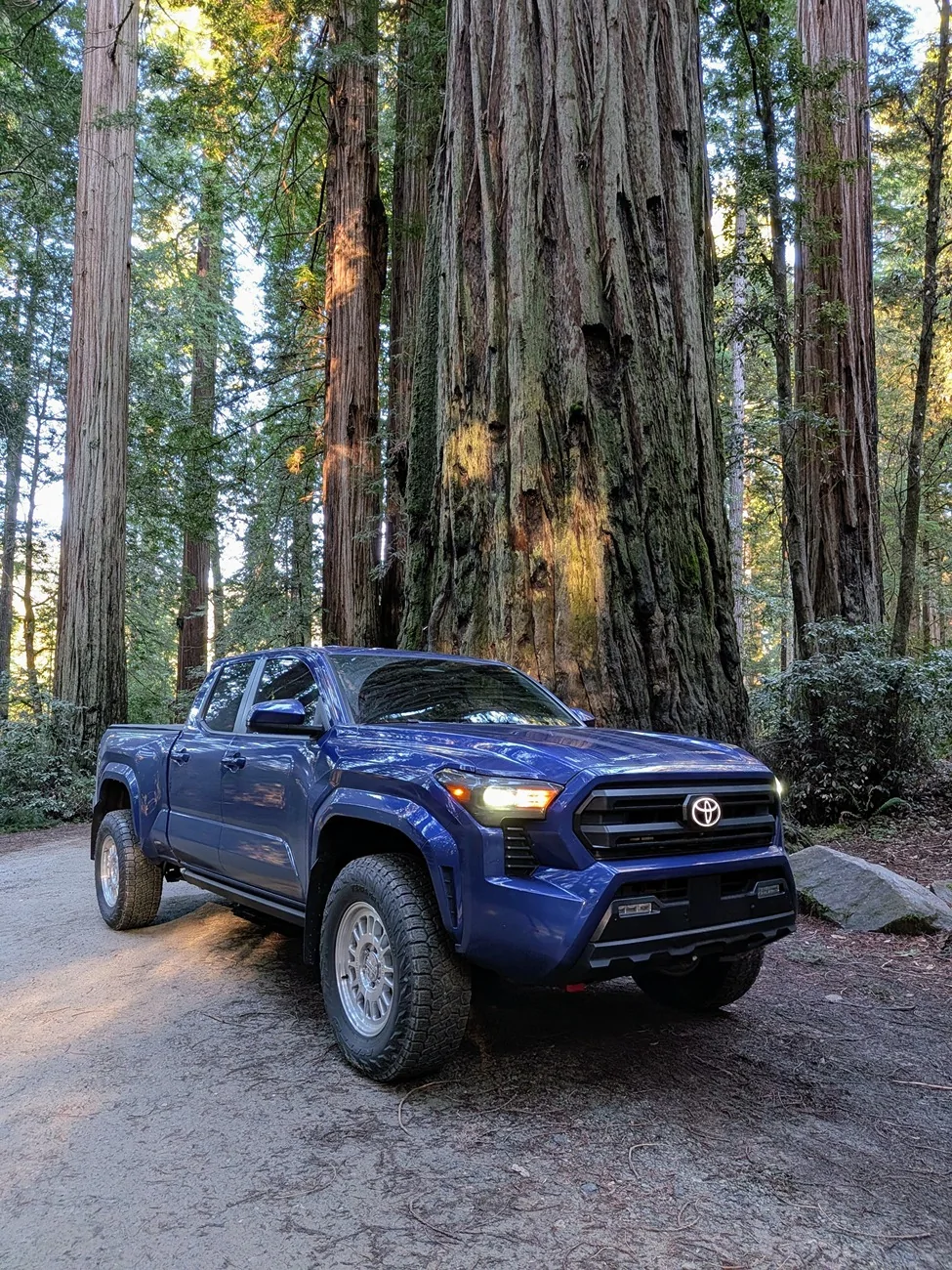 2024 Tacoma What did you do TO / WITH your 4th gen Tacoma today?! 👨‍🏭 🧰 📸 1952