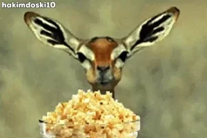 2024 Tacoma OEM Power Running Board Removal??? 200